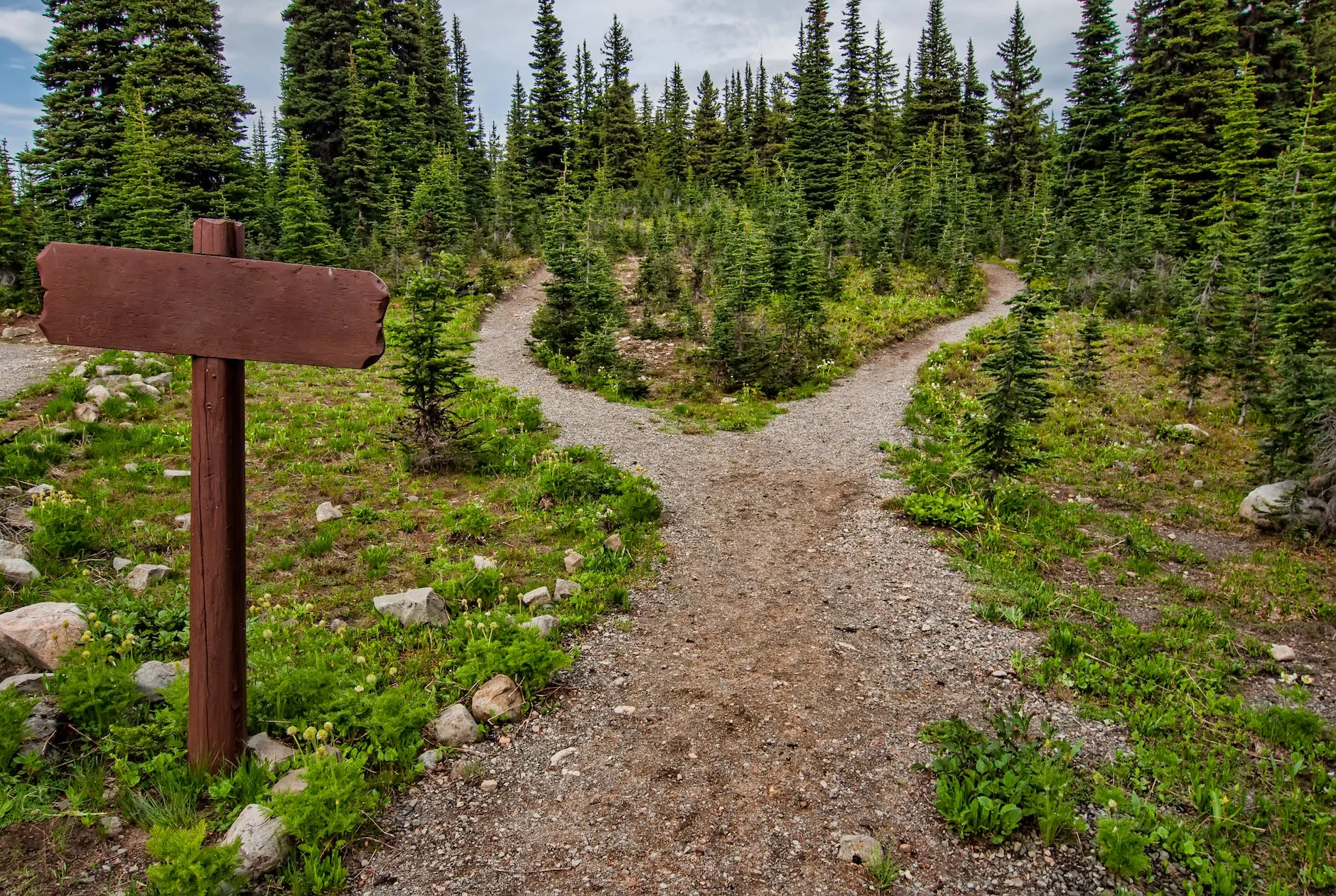 Staff Engineer: A Deep Dive into Leadership Beyond Management